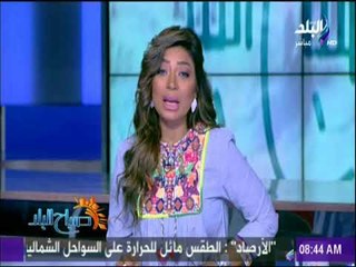 صباح البلد - الإحصاء 9.2 زيادة فى صادرات القطن خلال الربع الثالث من الموسم
