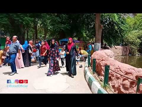 صدى البلد |رغم ارتفاع درجات الحرارة اقبال كبير على حديقة الحيوان ثانى ايام العيد