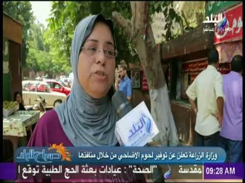 صباح البلد - وزارة الزراعة تعلن عن توفير لحوم الاضاحي من خلال منافذها