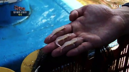 고성출장안마 -100%미인ョØ7Øn7575vØØ62【문의톡LJ69】고성전지역출장마사지샵고성출장안마'고성출장마사지황형'출장안마'ийк'출장마사지'미인출장만남