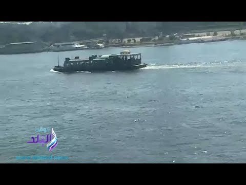 صدى البلد | الأتوبيس النهرى يستقبل المواطنين بنصف الثمن احتفالا ب30 يونيو