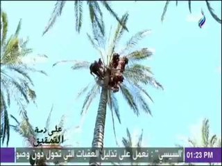 على ذمة التحقيق - شاهد السبب الرئيسي لمعاناة المنتجات المصرية المحلية