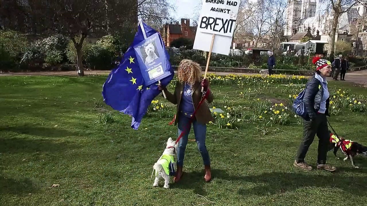 'Wufferendum' gegen den Brexit