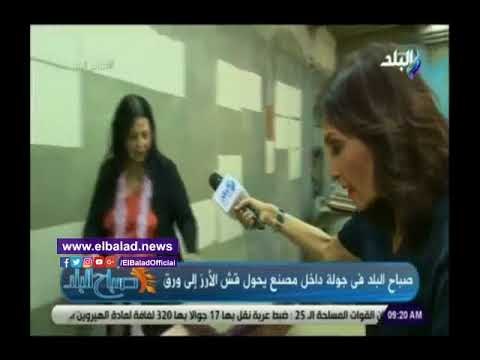 صدى البلد | رشا مجدى تشارك فى تحويل قش الأرز إلى ورق