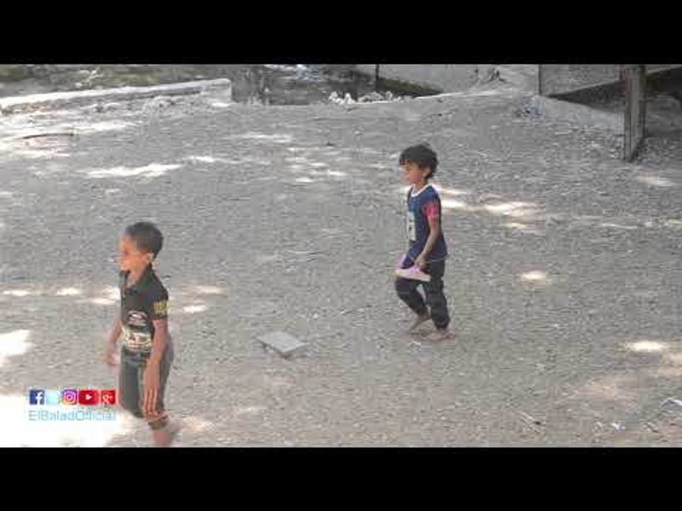 صدى البلد | أطفال يتسللون إلى قفص الحيوانات بحديقة الحيوان