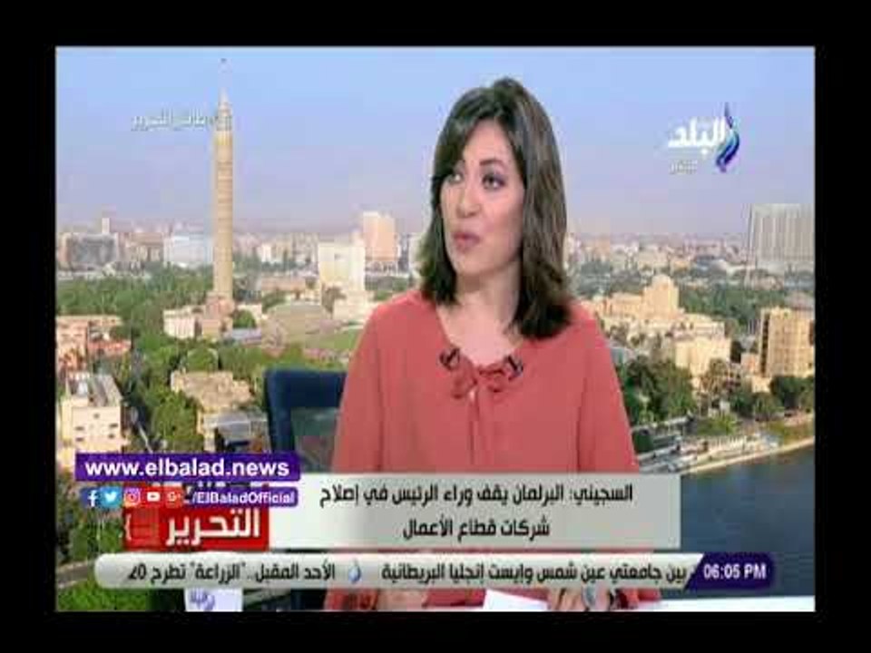 صدى البلد | السجينى :البرلمان يقف خلف السيسي فى إصلاح شركات قطاع الأعمال