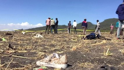 157명 탄 에티오피아 여객기 추락..."전원 사망" / YTN