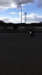 20190310-Piwi-Philip-derrière