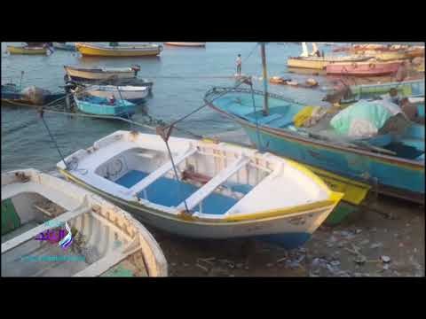 صدى البلد | صناعة مراكب الصيد..مهنة تقاوم الاندثار بالإسكندرية