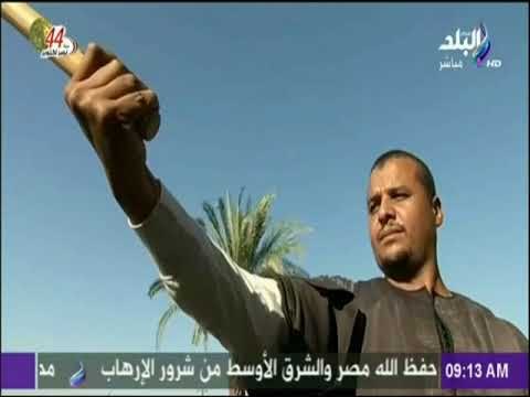 صباح البلد - مركز دولي لتعليم فن التحطيب في مصر