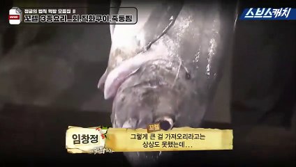 사천출장안마 -신용100%ョØ7Øe7575vØØ62【문의톡LJ69】사천전지역출장마사지샵'사천출장안마'사천출장마사지황형'출장안마'СТУ출장여대생출장여대생