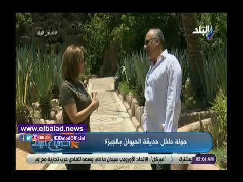 صدى البلد | رحيم:حديقة الحيوان تعانى من الإهمال منذ 30 عام.