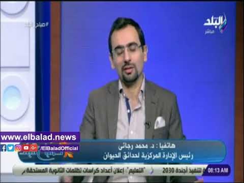 صدى البلد | رئيس إدارة حدائق الحيوان: لايوجد حمار وحشى إلا فى حديقتى الجيزة والاسكندرية