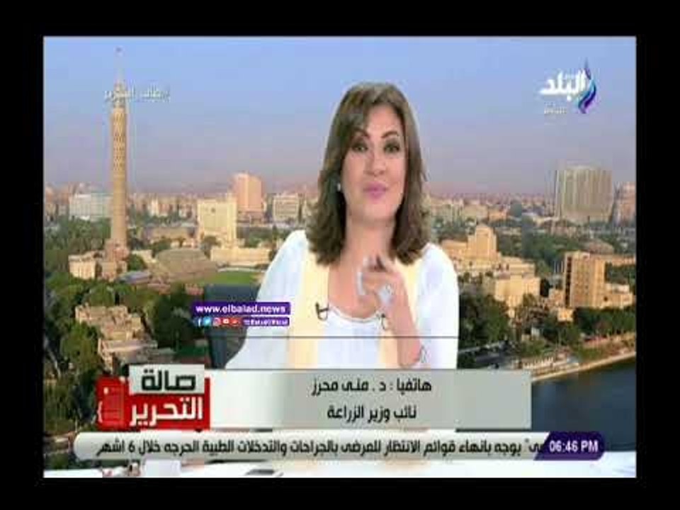 صدى البلد | منى محرز: مصر الأولى إفريقيا والعاشرة عالميا فى الاستزراع السمكى