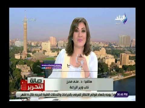 صدى البلد | منى محرز: مصر الأولى إفريقيا والعاشرة عالميا فى الاستزراع السمكى