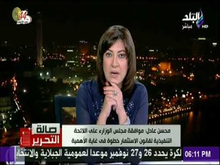 صالة التحرير - محسن عادل:اللائحة التنفيذية لقانون الاستثمار عالجت تخصيص المناطق الصناعية