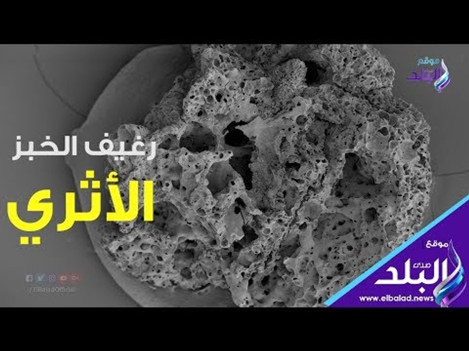 صدى البلد | رغيف الخبز الأثري