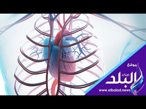 صدى البلد | هذا هو السبب وراء اصابة السيدات بأمراض القلب بنسبة أكبر من الرجال