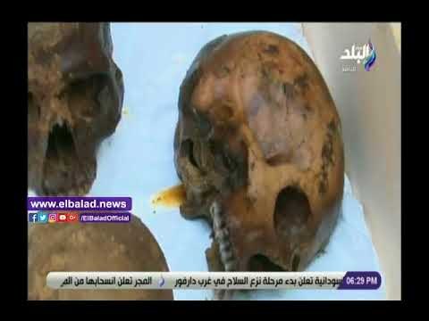 صدى البلد | وزيري: موميات تابوت الإسكندرية تعود لـ عسكريين ماتوا دفاعا عن الوطن