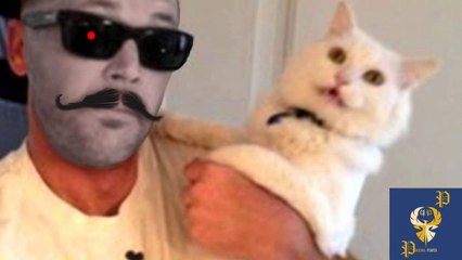 Funny Cats Scared of Masks - Part 3