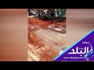 صدي البلد | شوارع الجيزة مليئة بدماء وبقايا الأضاحي