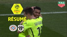 Montpellier Hérault SC - Angers SCO (2-2)  - Résumé - (MHSC-SCO) / 2018-19