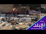صدي البلد | كارثة.. القمامة تهدد حياة أطفال عرب غنيم