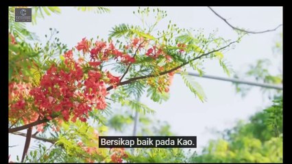 KISS ME AGAIN [sub Indo] Eps 4 (petekao only)