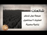 صدي البلد | الوزراء ينفي شائعات متداولة على مواقع التواصل الاجتماعي