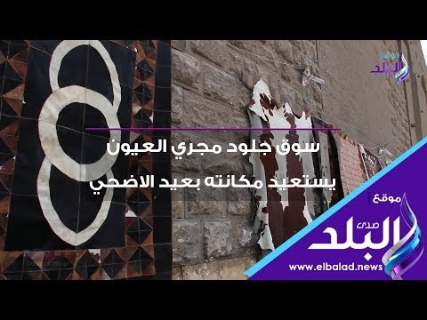 صدي البلد | عمال المدابغ : الجلود المصرية ليس لها مثيل في العالم