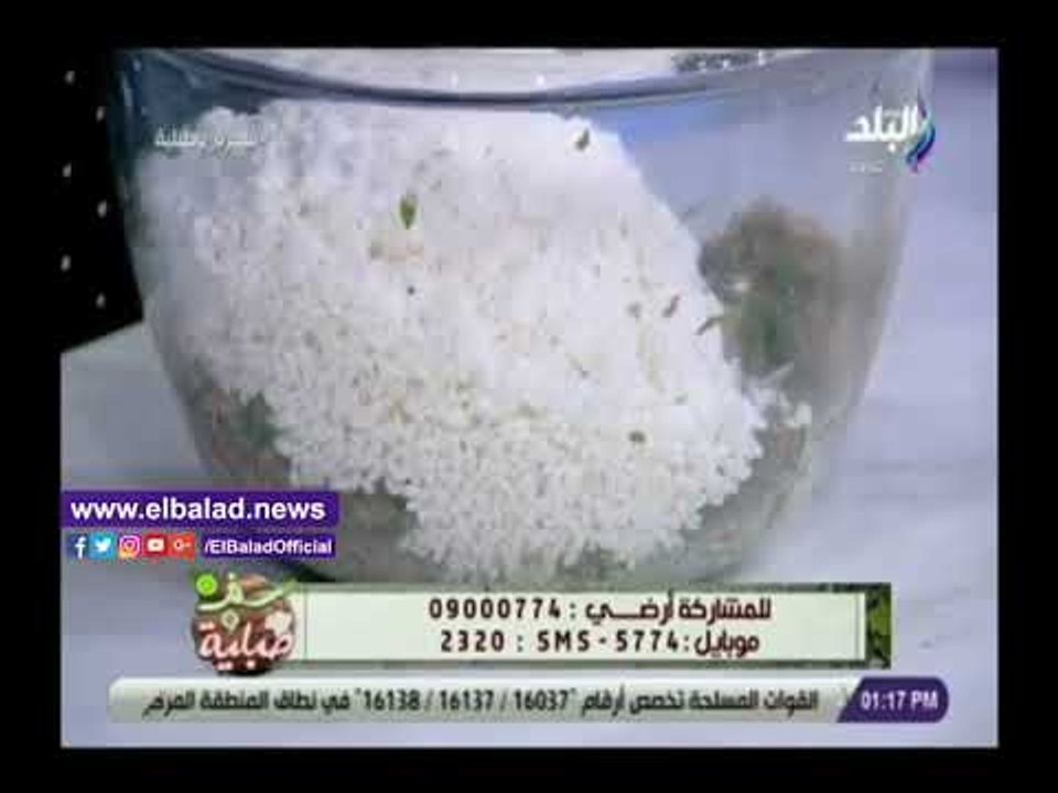 صدى البلد | تعرف على طريقة تجهيز حشوة محاشي على الفحم للشيف هالة فهمي