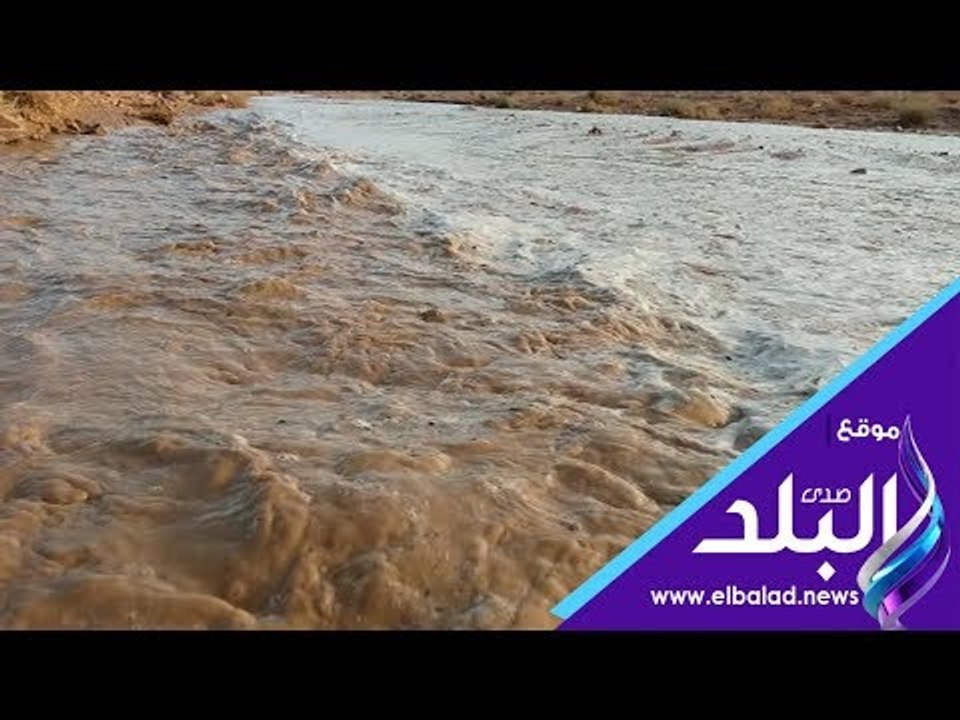 صدى البلد | سيول سانت كاترين تنعش الوديان.. واستعدادات لتفادي مخاطرها