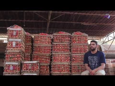 صدي البلد | تجار عن حملة مقاطعة الخضروات والفاكهة : لا وجود لها على ارض الواقع