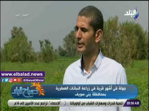 صدي البلد | صباح البلد في جولة داخل أشهر قرية لزراعة النباتات العطرية