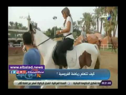 صدى البلد | تعلم مهارة ركوب الخيل وتوجيه الحصان خطوة بخطوة.
