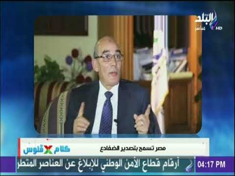 كلام في فلوس - بعد تصدير الحمير .. رسميا مصر تسمح بتصدير الضفادع للإستهلاك الادمي