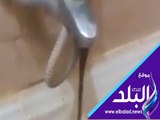 صدى البلد | اهالى منفلوط تستغيث