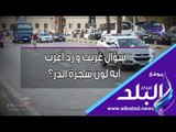 صدي البلد | سالنا الشباب.. ايه لون شجره الدر ..ردود كوميدية