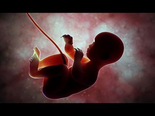 صدي البلد | 5 أسباب خطيرة تؤدي لحدوث العيوب الخلقية عند الاجنة