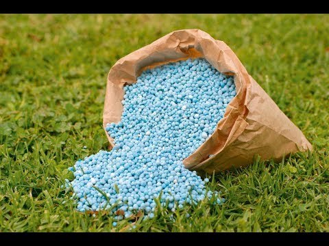 صباح البلد - لعز ارتفاع أسعار الأسمدة: «الجمعيات الزراعية تشكوعدم توفير كميات كافية»