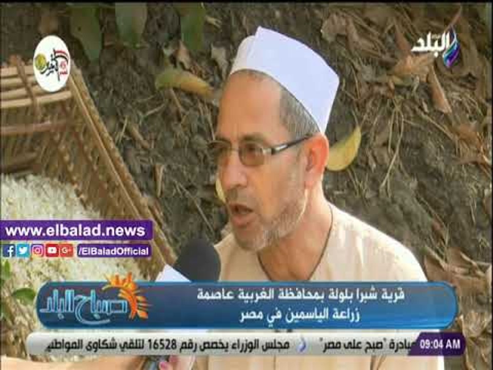 صدي البلد | تقرير: شبرا بلولة تنتج 50% من الياسمين حول العالم