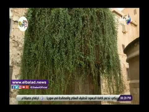 صدي البلد | غدا.. أحمد موسى يقدم حلقة خاصة من سانت كاترين