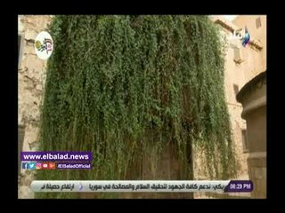 صدي البلد | غدا.. أحمد موسى يقدم حلقة خاصة من سانت كاترين