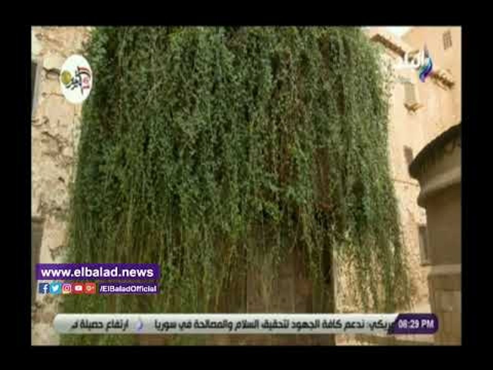 صدي البلد | غدا.. أحمد موسى يقدم حلقة خاصة من سانت كاترين