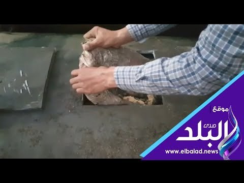 صدي البلد | إحباط تهريب 300 كيلو بانجو مخبأة داخل معدة ثقيلة بقناة السويس