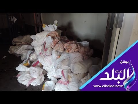 صدي البلد | حملات مكبرة لمباحث تموين القليوبية على ثلاجات اللحوم والدواجن