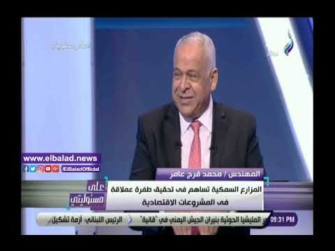 صدي البلد | فرج عامر: الصناعة قادرة على حل أزمة البطالة