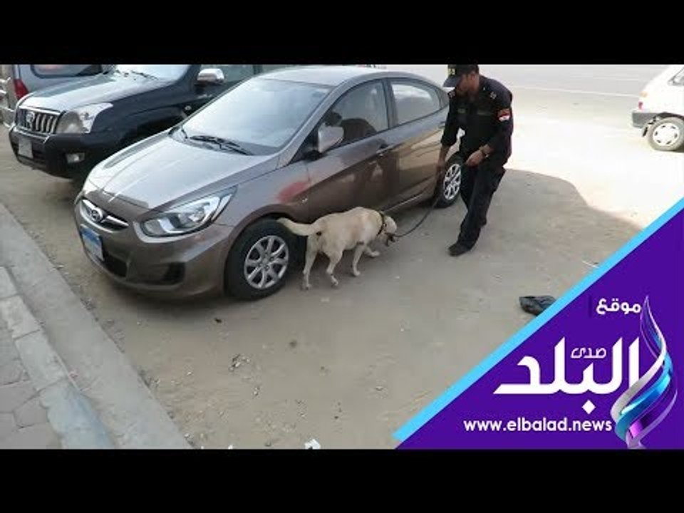 صدي البلد | ضبط تجار المواد المخدرة بمحيط المدارس والجامعات بمختلف المحافظات