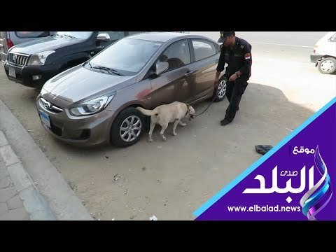 صدي البلد | ضبط تجار المواد المخدرة بمحيط المدارس والجامعات بمختلف المحافظات