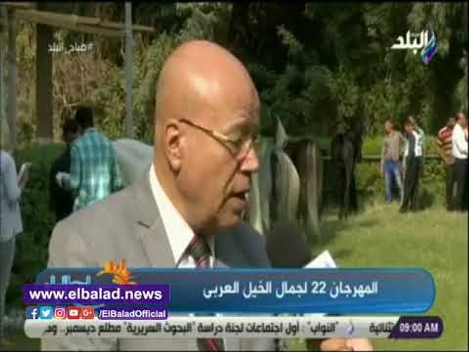 صدي البلد |  الزراعة: فتح باب تصدير الخيول العربي لمعظم الدول